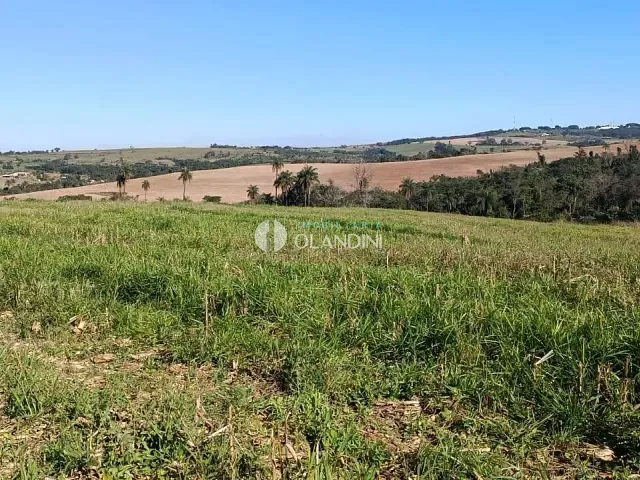 Sítio com 80896m², à venda, no bairro Área Rural de Artur Nogueira em Artur Nogueira