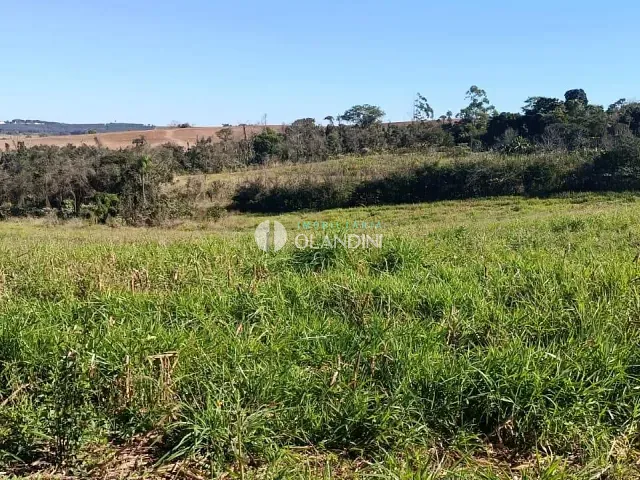 Sítio com 80896m², à venda, no bairro Área Rural de Artur Nogueira em Artur Nogueira