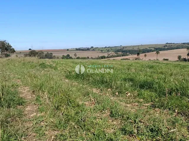 Sítio com 80896m², à venda, no bairro Área Rural de Artur Nogueira em Artur Nogueira