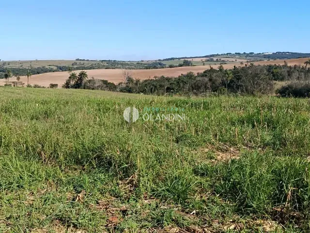 Sítio com 80896m², à venda, no bairro Área Rural de Artur Nogueira em Artur Nogueira