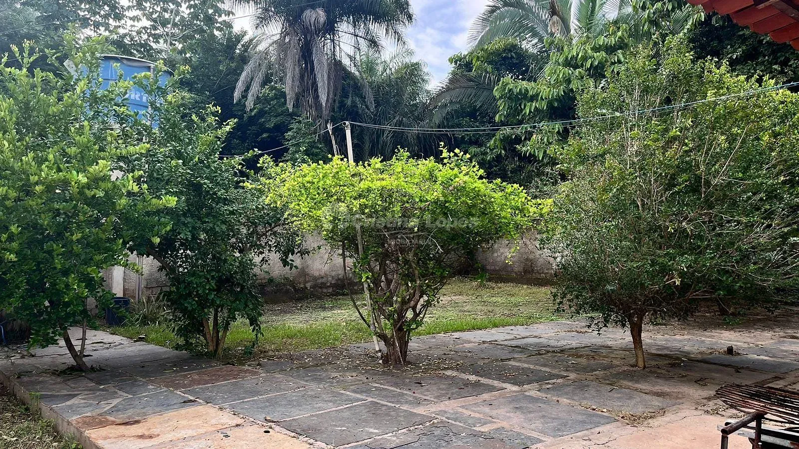 Chácara, 3 quartos, 5000 m² - Foto 7