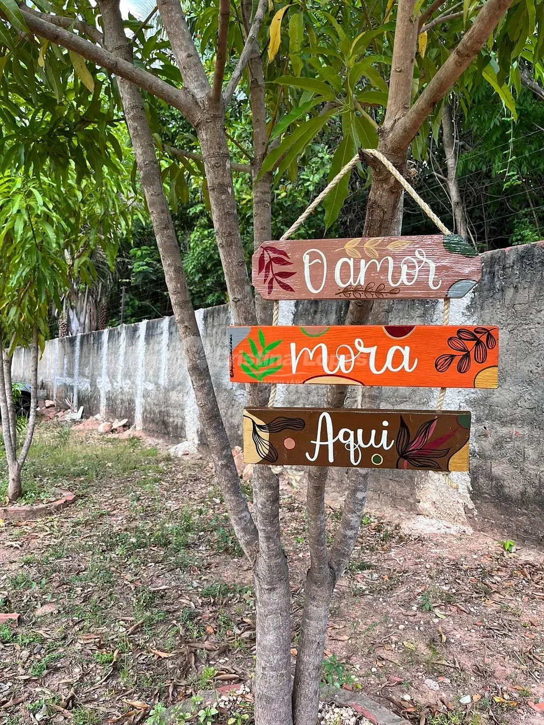 Chácara, 3 quartos, 5000 m² - Foto 4