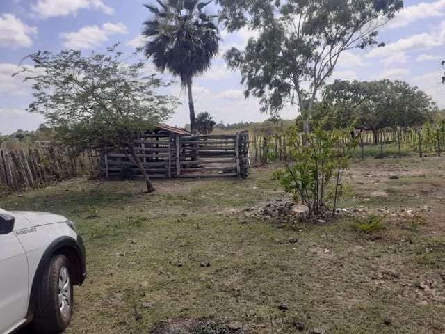 Foto do Sítio - Sítio à venda, zona rural, José de Freitas, PI | Cristina Lopes Imobiliária