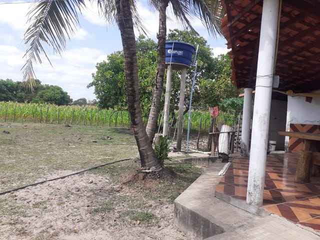 Foto do Sítio - Sítio à venda, zona rural, José de Freitas, PI | Cristina Lopes Imobiliária