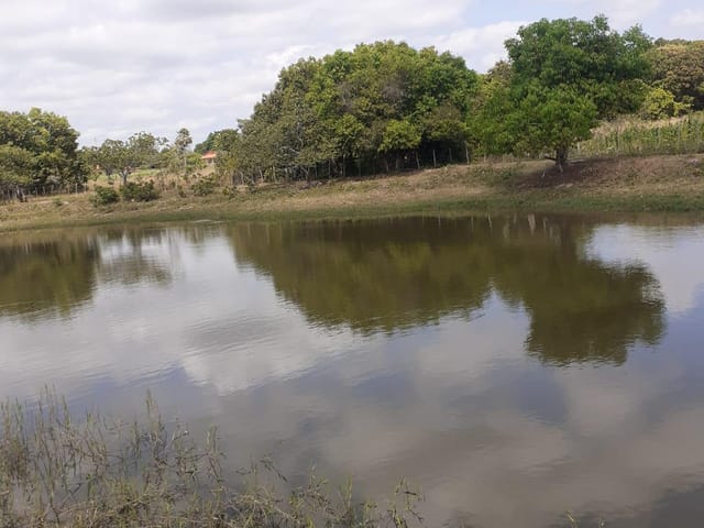 Foto do Sítio - Sítio à venda, zona rural, José de Freitas, PI | Cristina Lopes Imobiliária
