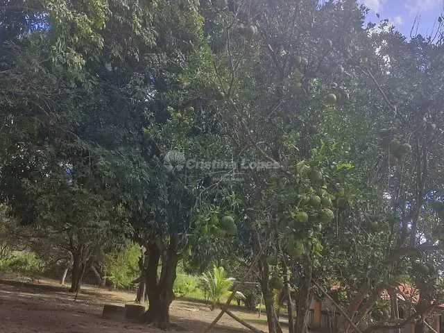 Sítio 2 quartos e 1 banheiro, à venda, no bairro zona rural em Teresina