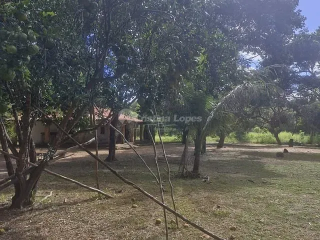 Sítio 2 quartos e 1 banheiro, à venda, no bairro zona rural em Teresina