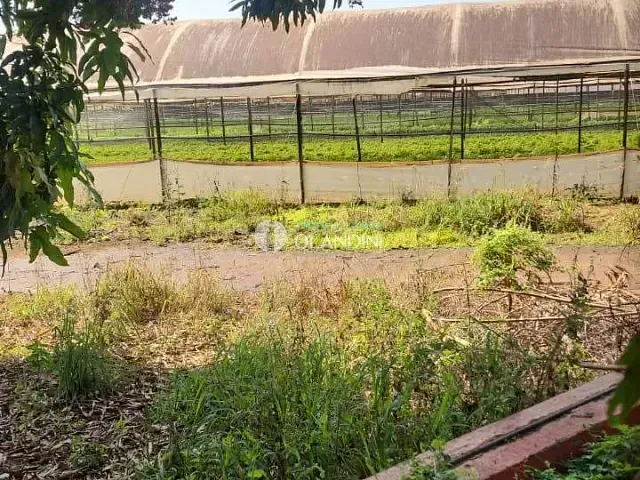 Sítio com 24269m² 1 quarto e 1 banheiro, à venda, no bairro Jardim Planalto II em Artur Nogueira