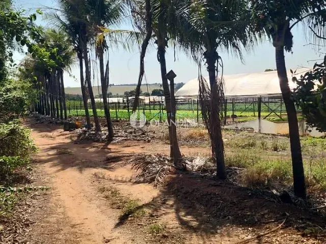 Sítio com 24269m² 1 quarto e 1 banheiro, à venda, no bairro Jardim Planalto II em Artur Nogueira