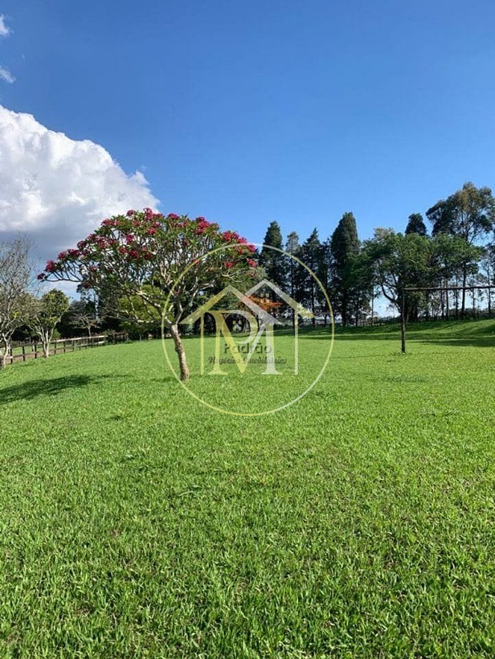 Fazenda à venda com 7 quartos, 10m² - Foto 9