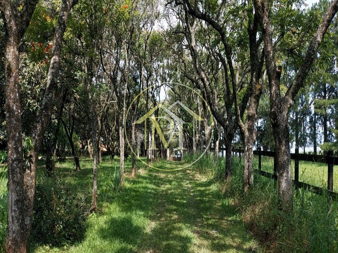Fazenda à venda com 7 quartos, 10m² - Foto 22
