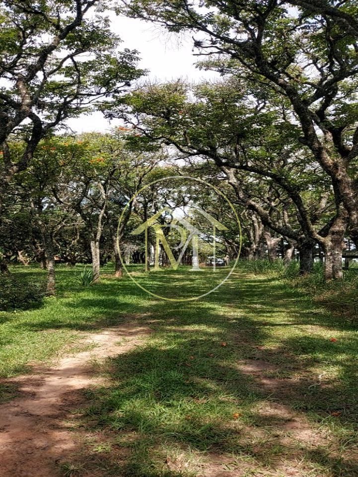 Fazenda à venda com 7 quartos, 10m² - Foto 23