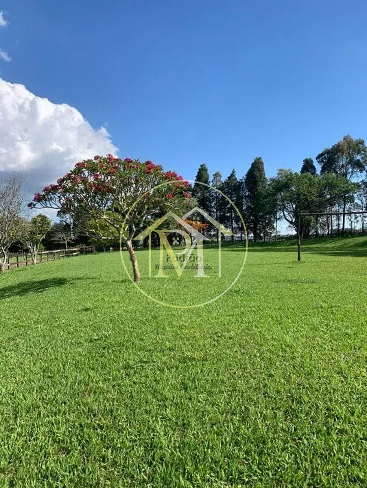 Fazenda, 34 hectares - Foto 9