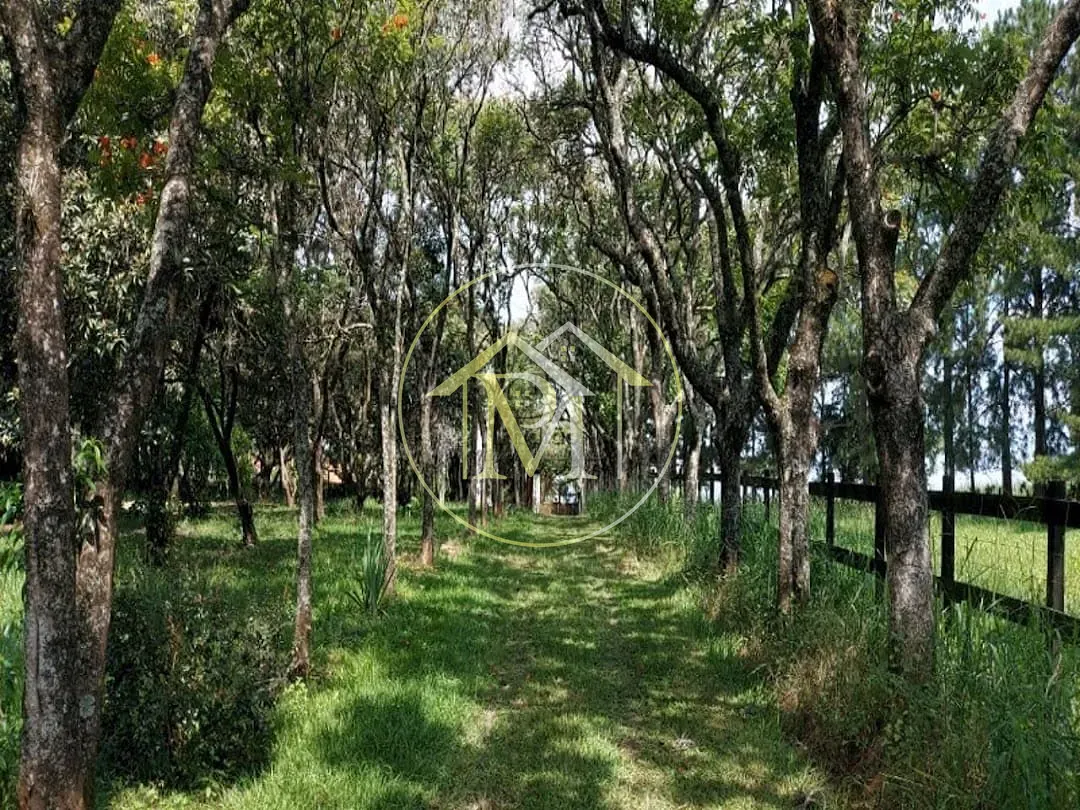 Fazenda, 34 hectares - Foto 22