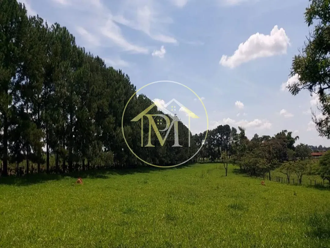 Fazenda, 34 hectares - Foto 21