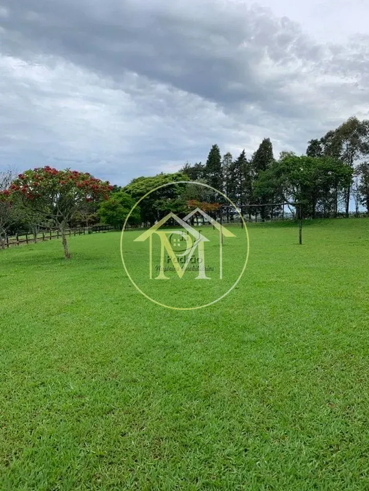 Fazenda, 34 hectares - Foto 8