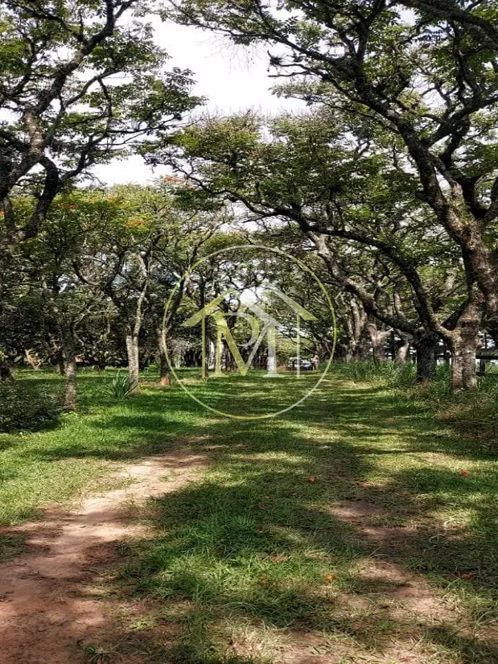 Fazenda, 34 hectares - Foto 23