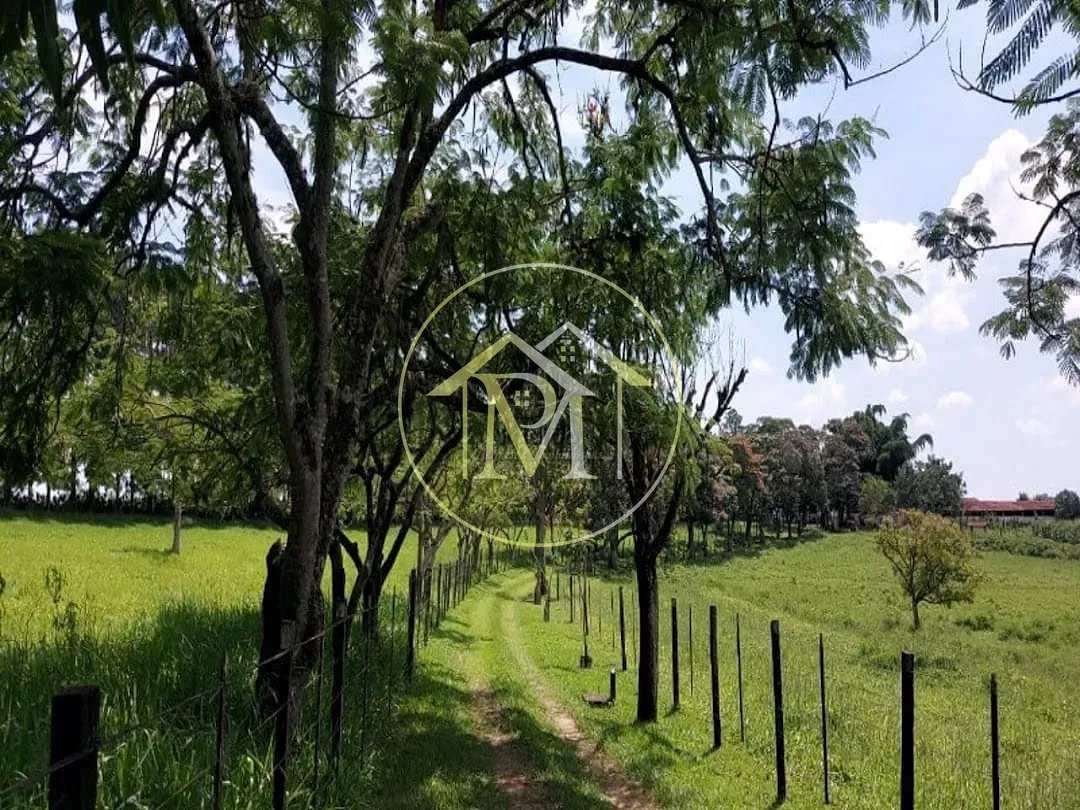 Fazenda, 34 hectares - Foto 25