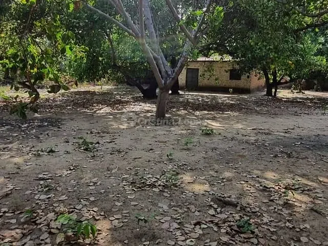 Sítio com 1880m² 2 quartos e 1 banheiro, à venda, no bairro Zona Rural em Teresina