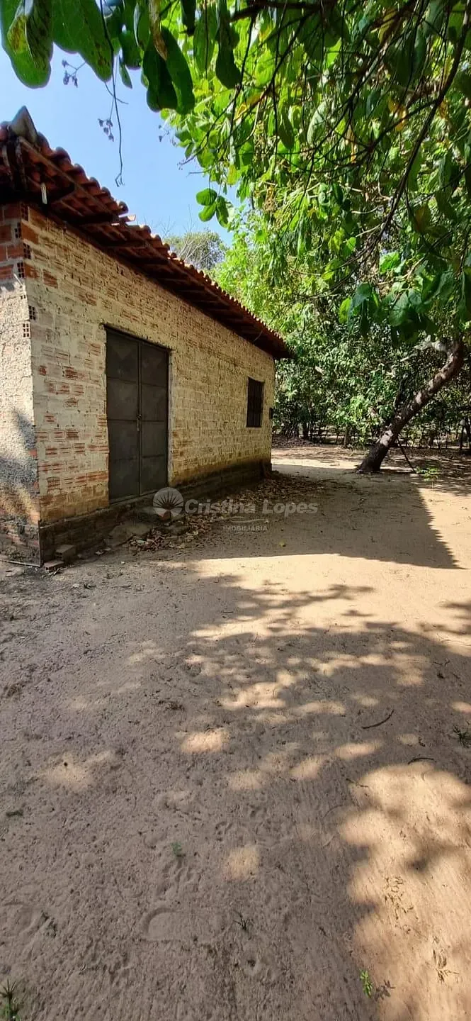 Sítio, 2 quartos, 1880 m² - Foto 4