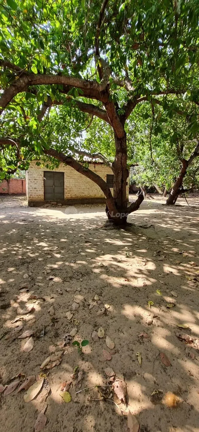 Sítio, 2 quartos, 1880 m² - Foto 9