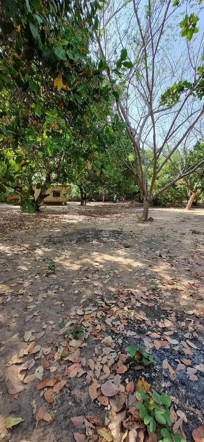 Sítio, 2 quartos, 1880 m² - Foto 13