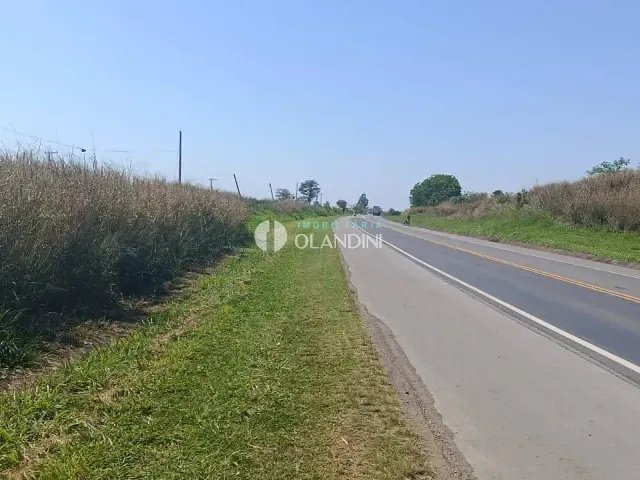 Sítio à venda, no bairro Área Rural de Cosmópolis em Cosmópolis