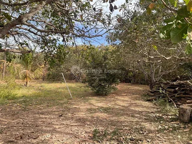 Sítio com 30000m² 2 quartos e 2 banheiros, à venda, no bairro Zona Rural em Teresina