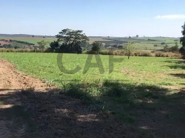 Sítio com 84700m², à venda, no bairro Paiol de Telhas em Mogi Mirim