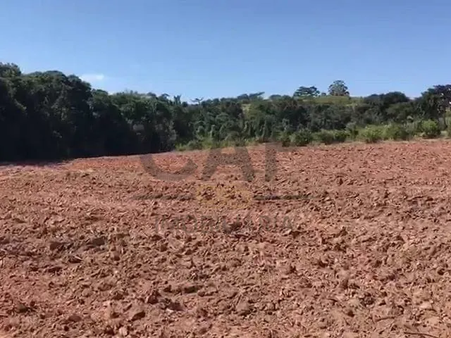 Sítio com 84700m², à venda, no bairro Paiol de Telhas em Mogi Mirim