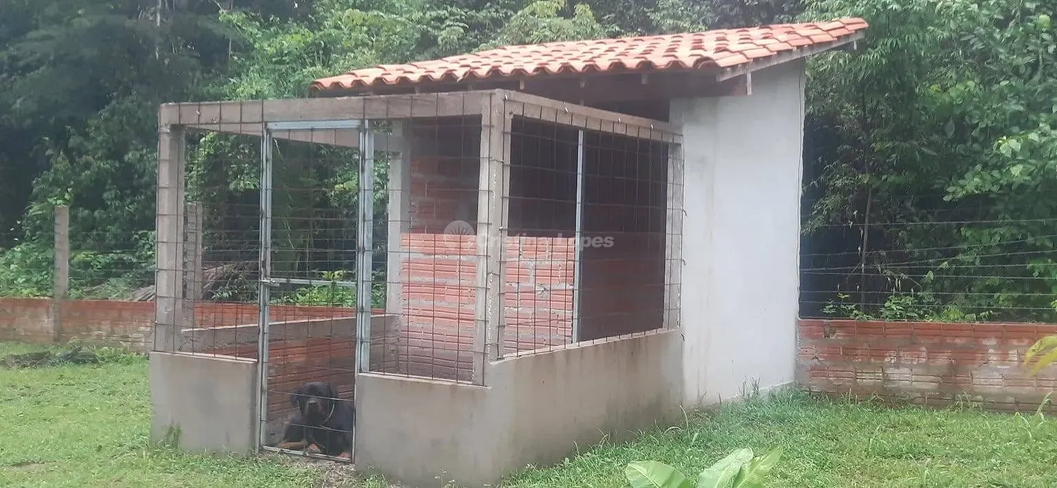 Sítio, 2 quartos, 2 hectares - Foto 6