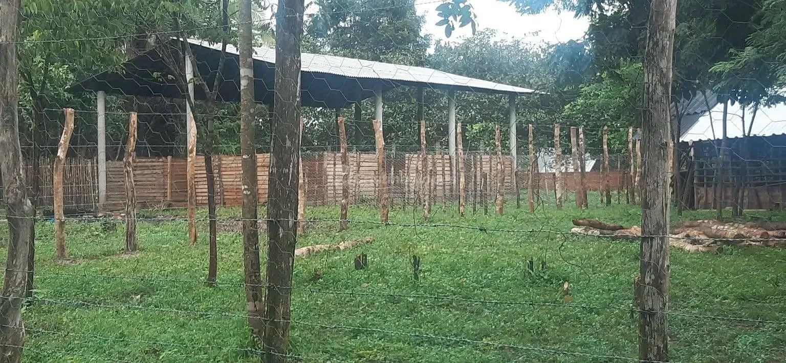 Sítio, 2 quartos, 2 hectares - Foto 11