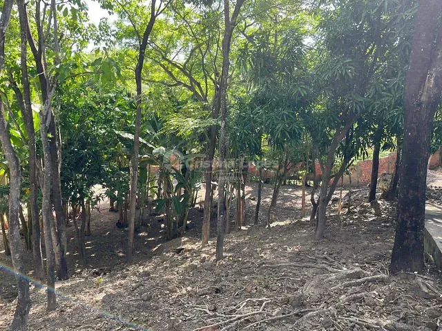 Sítio com 5197m² 3 quartos e 2 banheiros, à venda, no bairro Socopo em Teresina