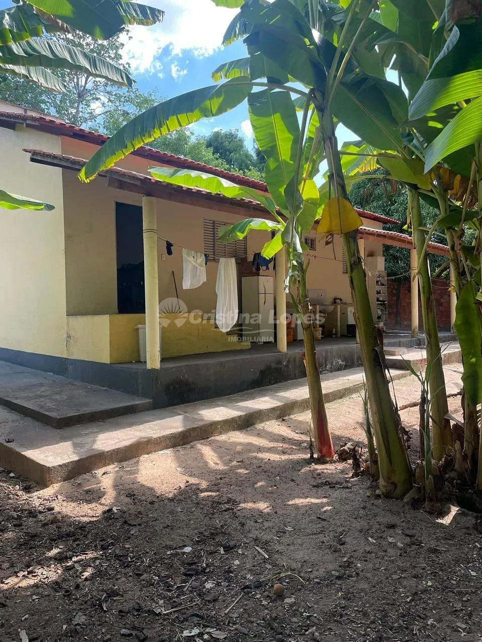 Sítio, 3 quartos, 5197 m² - Foto 5