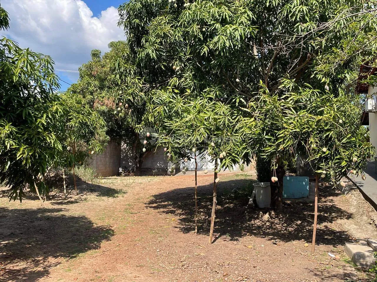 Sítio, 3 quartos, 5197 m² - Foto 9