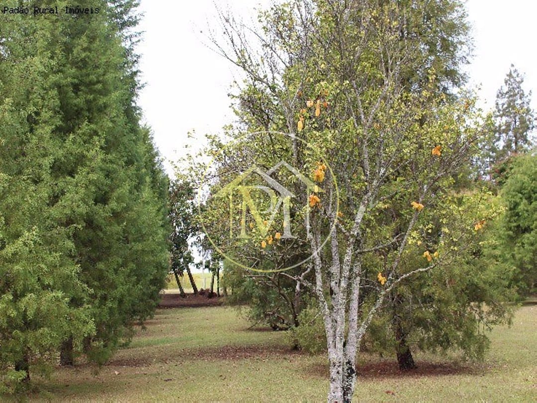 Sítio, 10 m² - Foto 35