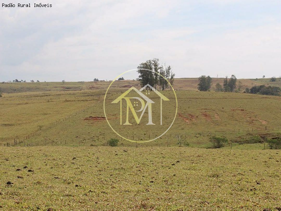 Sítio, 10 m² - Foto 17