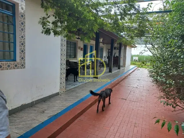 Sítio com 653400m², à venda, no bairro Vila Mazzei em Itapetininga