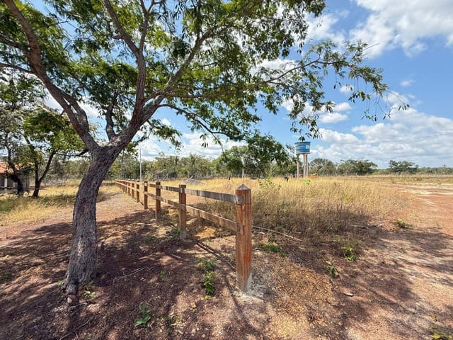Foto do Sítio - Sítio à venda, rural, José de Freitas, PI | Cristina Lopes Imobiliária