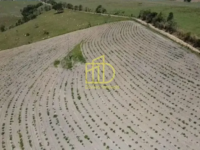 Sítio com 266200m², à venda, no bairro Vila Mazzei em Itapetininga