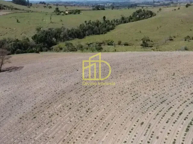 Sítio com 266200m², à venda, no bairro Vila Mazzei em Itapetininga