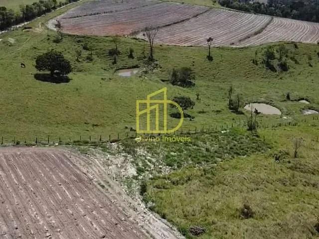 Sítio com 266200m², à venda, no bairro Vila Mazzei em Itapetininga