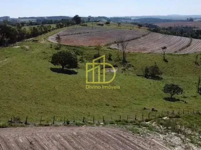 Sítio com 266200m², à venda, no bairro Vila Mazzei em Itapetininga