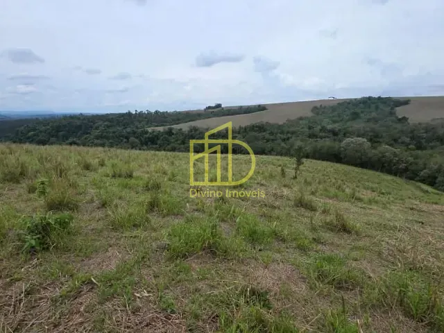 Sítio com 290000m² 2 quartos e 1 banheiro, à venda, no bairro Centro em Pilar do Sul