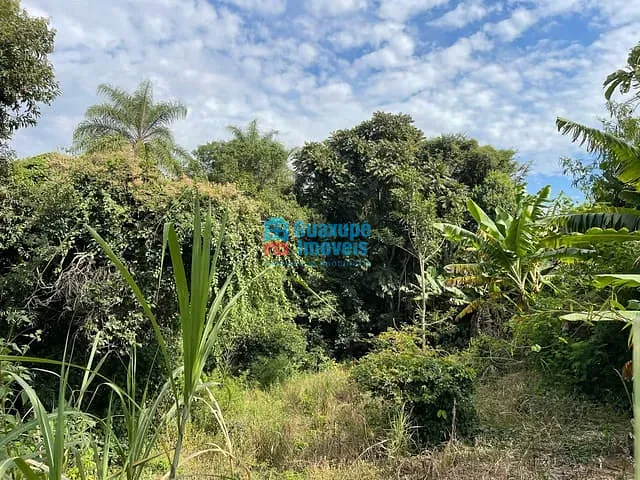 Sítio com 10000m², à venda, no bairro - em Guaxupé