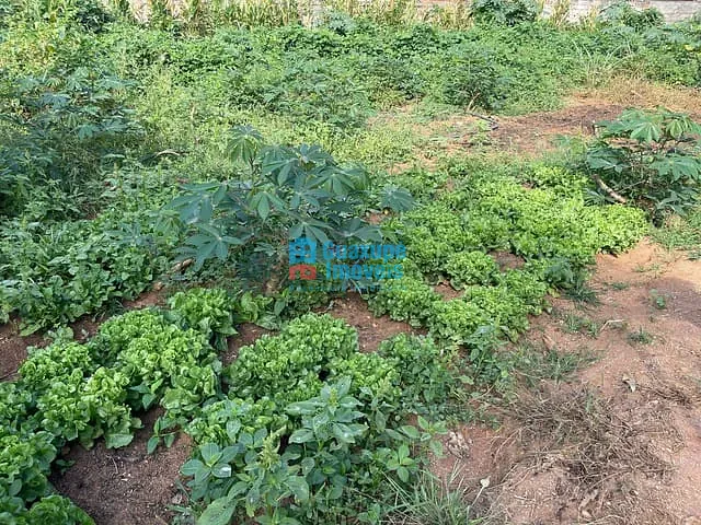 Sítio com 10000m², à venda, no bairro - em Guaxupé