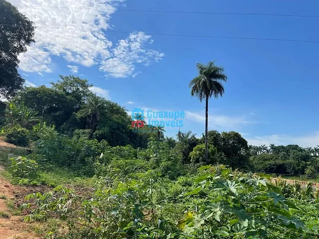 Sítio com 10000m², à venda, no bairro - em Guaxupé