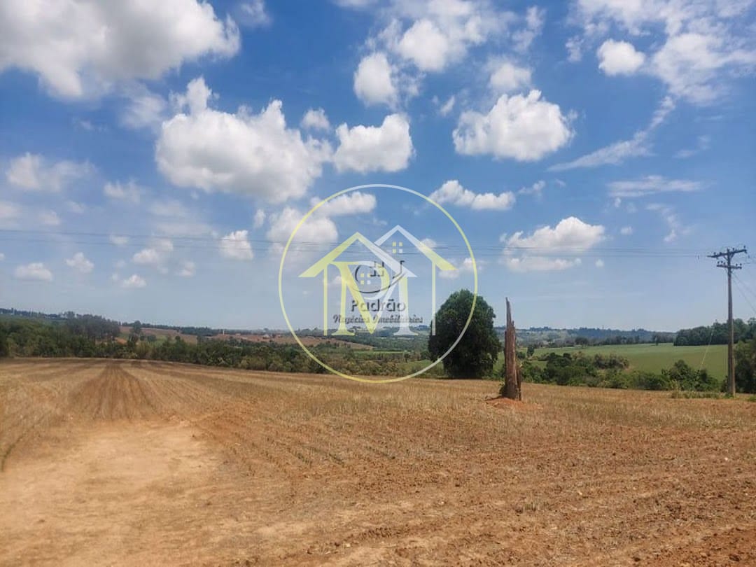 Fazenda, 44 hectares - Foto 4