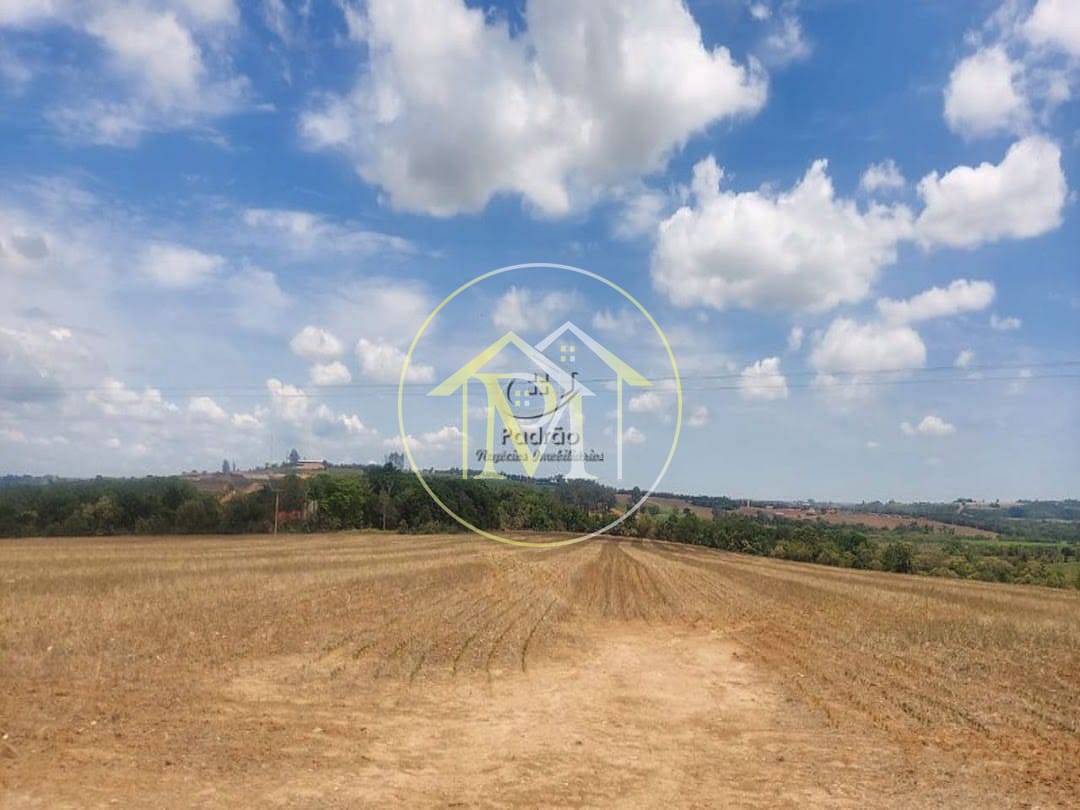 Fazenda, 44 hectares - Foto 6