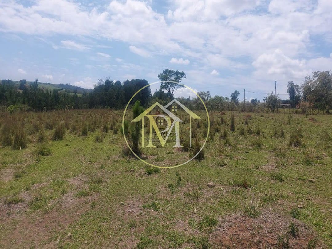 Fazenda, 44 hectares - Foto 8